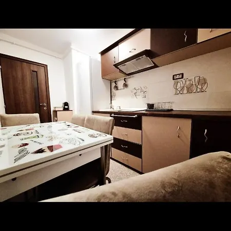 Raul Timisoara