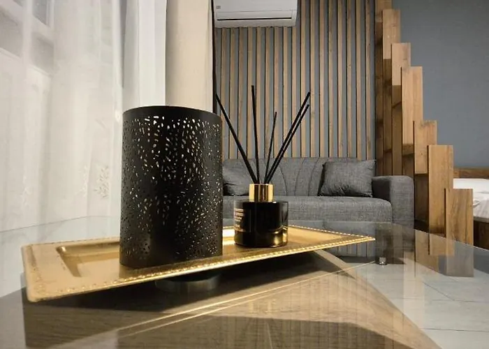 Appartement Raul Timişoara